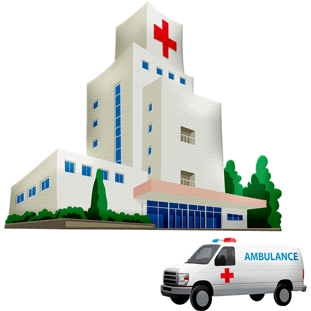 Aranylélek és Aranyszív Ambulance