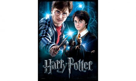 Harry Potter webshop